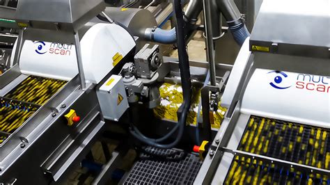 fruit sorting machine|weco optical equipment.